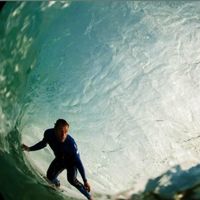 Taylor Knox (2)